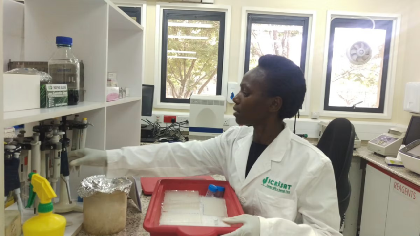 Damaris Odeny working in lab