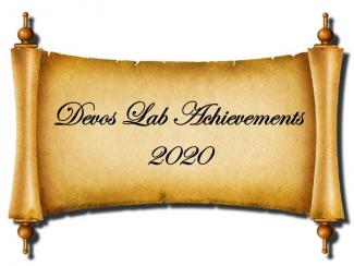 Achievements Banner 2020